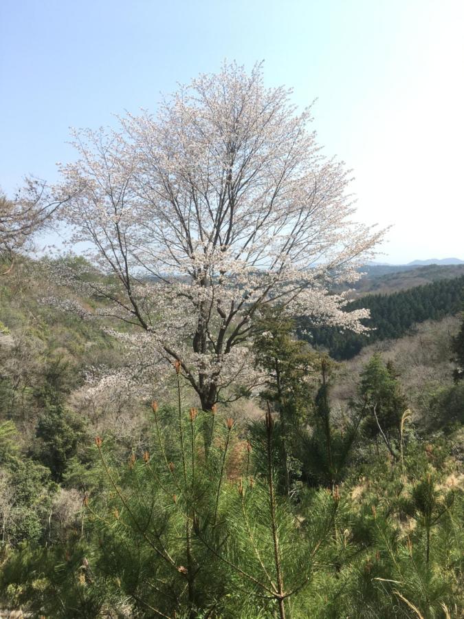 Holiday home Casa Kitsuneana The Satoyama Experience In A Japanese-style Modernized 100-year-old
