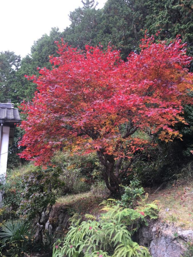 Casa Kitsuneana The Satoyama Experience In A Japanese-style Modernized 100-year-old Holiday home Akaiwa